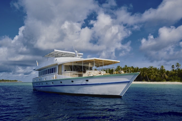 Golden sunset over calm tropical ocean with surfers in distance, Maldives – Atoll Travel