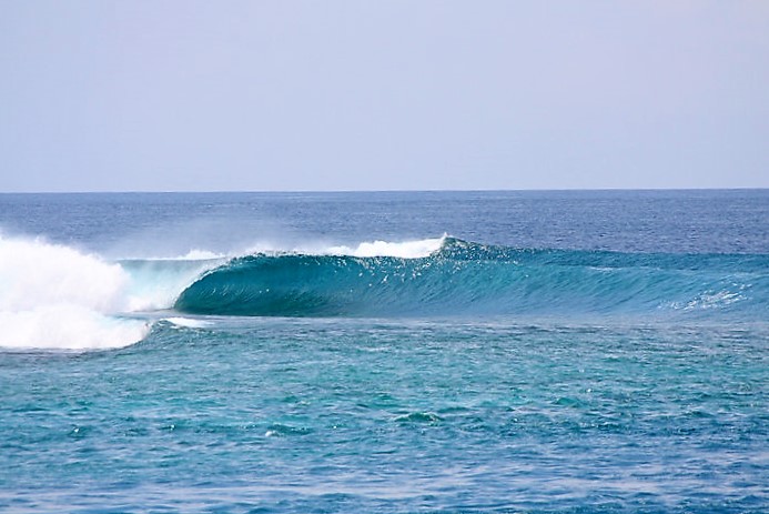 Surfer crouching low while carving large wave in Maldives – Atoll Travel