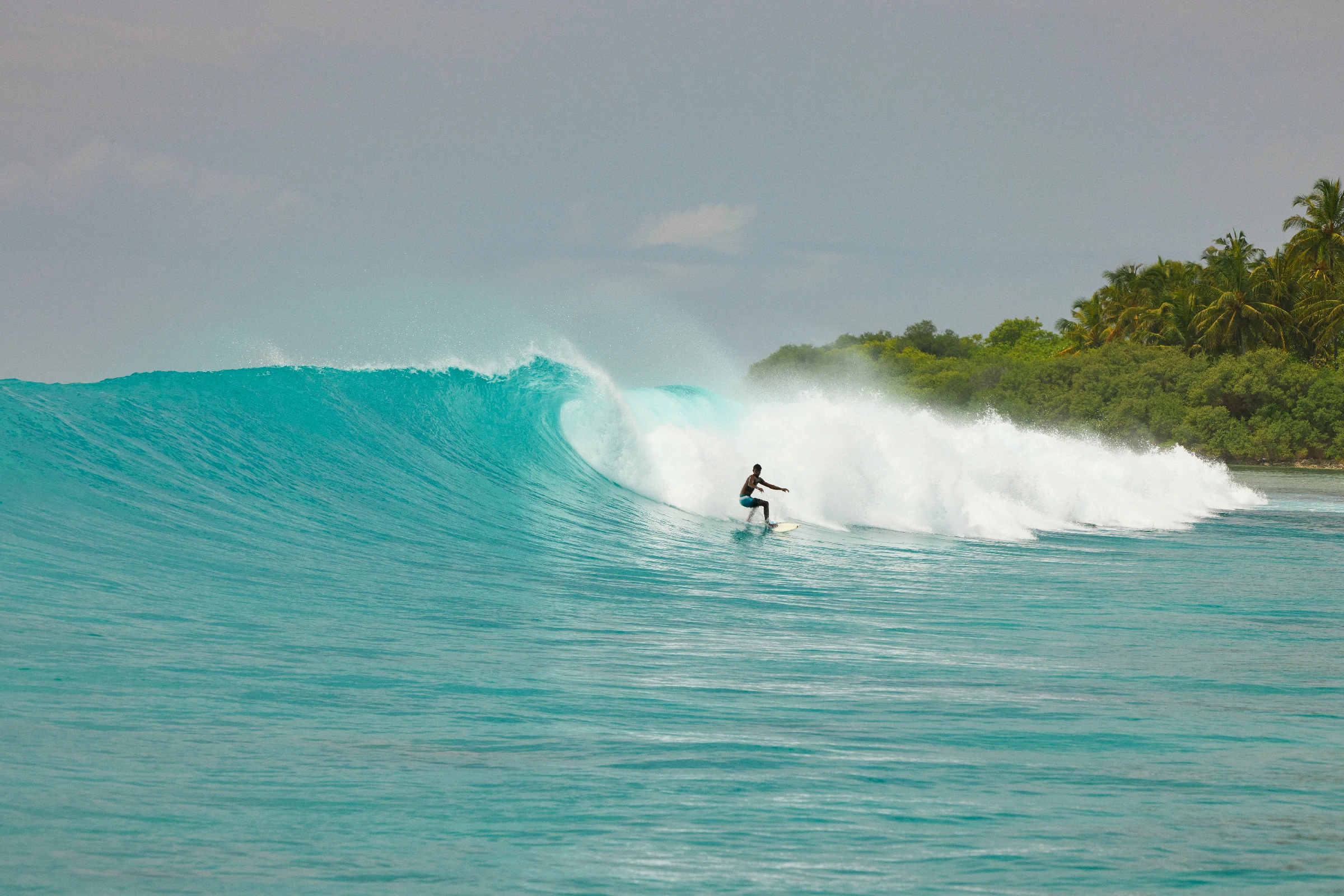 Atoll25_Hakuraa_Day3_TC1Z9A2460