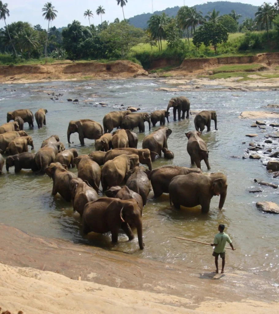 Surfers practicing turns in small waves near shore, Maldives – Atoll Travel