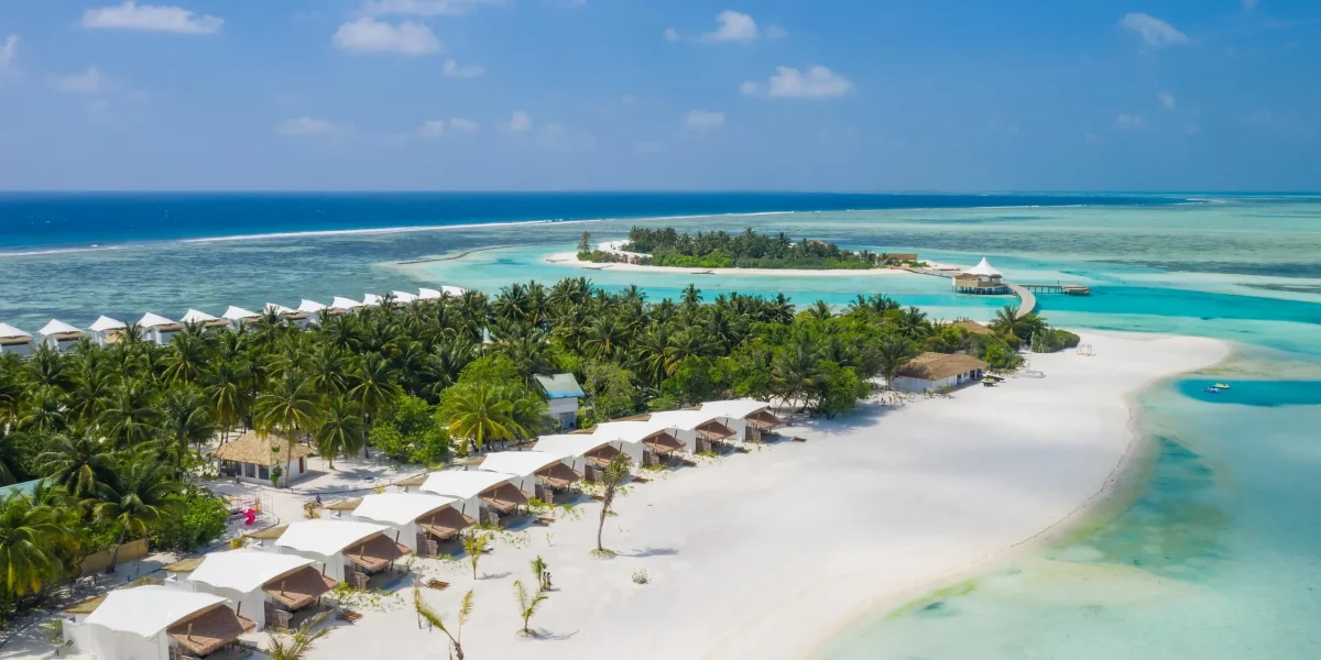 202002131255093478-9a9de468069911edb1800a58a9feac02