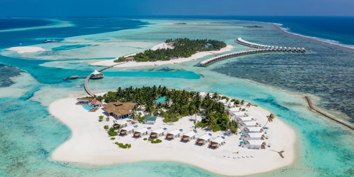 HAKURAA-scaled (1) (Large)